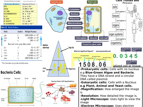 AQA GCSE 9-1 Biology Cells and Microscopy revision Mat