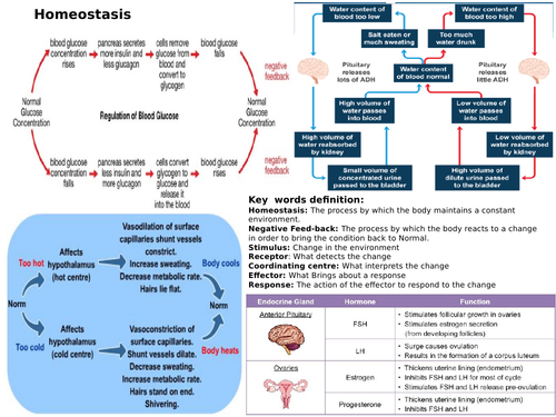 AQA GCSE 9-1 Biology Homeostasis revision Mat