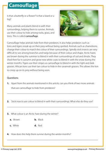 KS2 Reading Comprehension - Camouflage