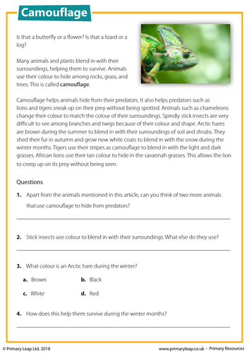 ks2-reading-comprehension-camouflage-teaching-resources