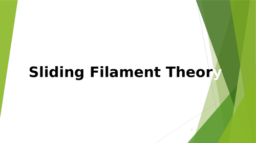 Sliding Filament Theory A-level lesson