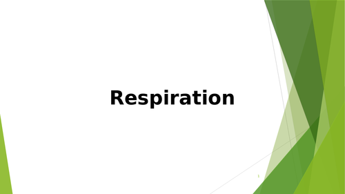 Respiration A-level lesson