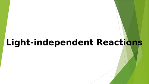 Light-independent reactions photosynthesis Calvin cycle A-level lesson ...