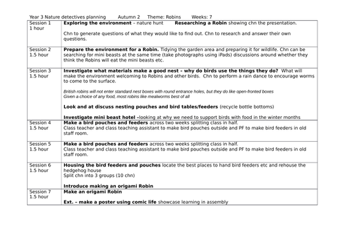 Year 3 Robin (birds) nature detective planning