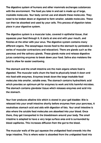 Digestive system