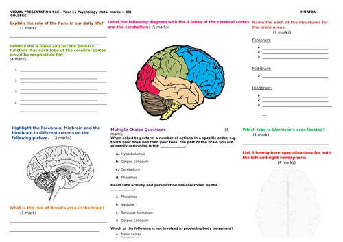 Test / SAC / Assessment on brain structure and functions