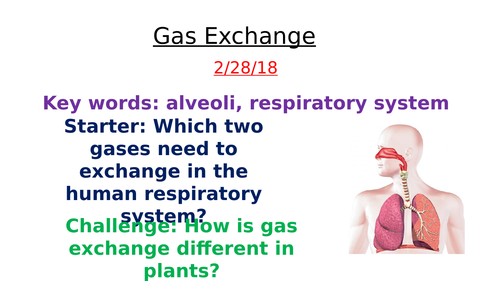 Gas exchange KS3