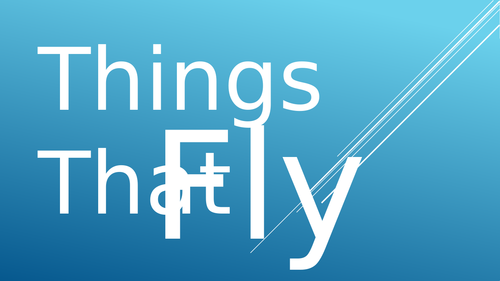 Things that Fly