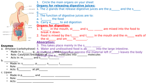 4.2 AQA biology: Organisation (Combined Trilogy)