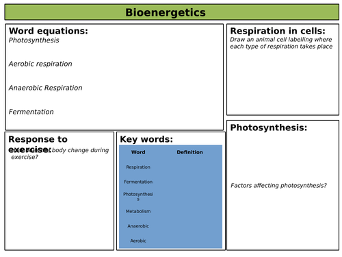 Biology AQA Bioenergetics revision mat