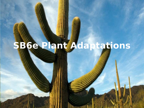 SB6e Plant Adaptations