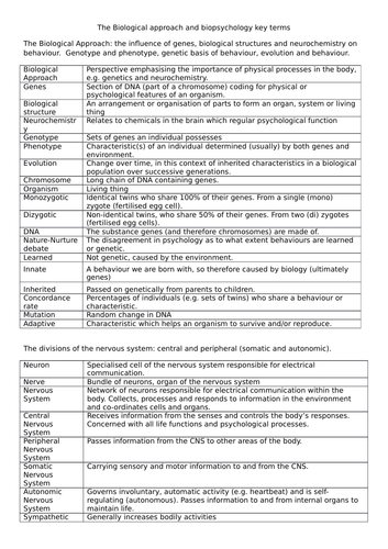 Biopsychology key terms