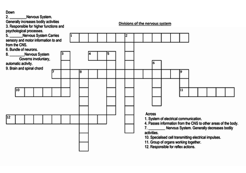 Divisions of the Nervous System Crossword Teaching Resources