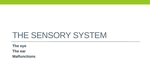 LO6 Sensory Systems Cambridge Level 3 Health and Social care
