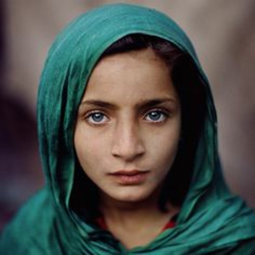 Year 5/6 English - Oranges in No Man's Land Unit