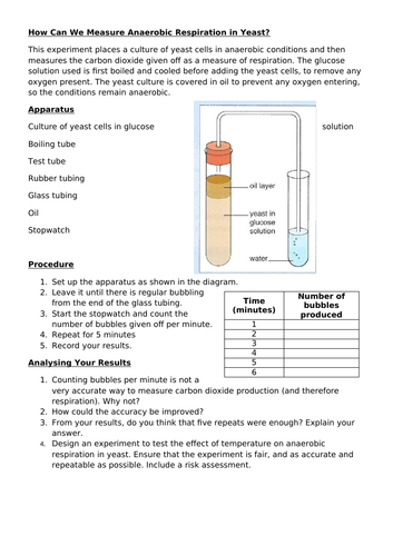 Anaerobic Respiration in Yeast - Practical