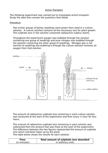 Active Transport - Graph activity