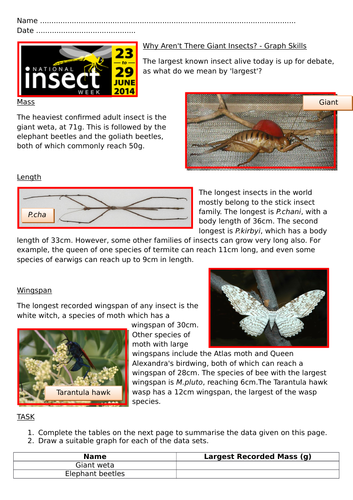 National Insect Week Numeracy Activities