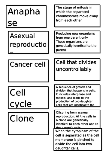 Mitosis Keyword Sort Card