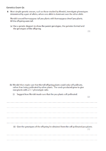 Inheritance (genetics) exam questions and answers Edexcel IGCSE (2011 spec)