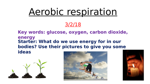 KS3 resources on aerobic and anaerobic respiration