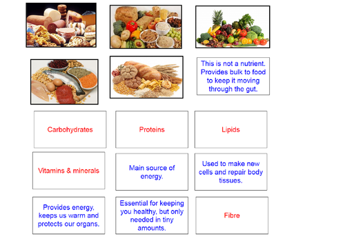 Biology Nutrient plenary cards KS3