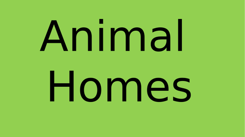 Animal homes