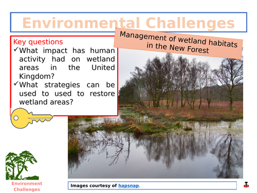 Management of wetland areas