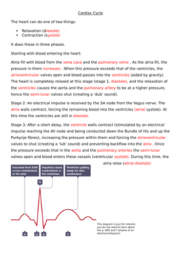 The Heart and Cardiac Cycle revision sheets