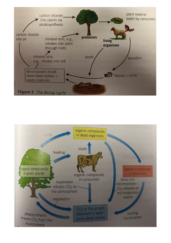 New AQA B7.5 (New Biology GCSE spec 4.7) – How materials are cycled