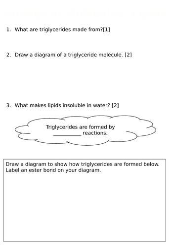 Biological Molecules Lipids Revision