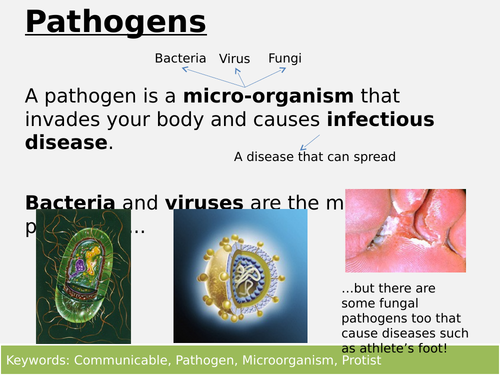 AQA Health - Pathogens