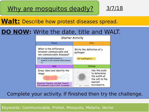 AQA Health - Protist Diseases