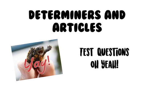 Year 6 Practice Punctuation and Grammar (SPaG) Test Questions Bundle