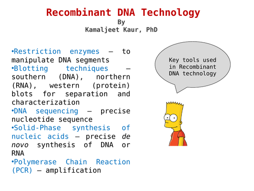 A level - Recombinant DNA Technology | Teaching Resources