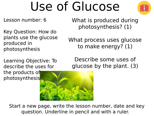 Uses of glucose - new gcse