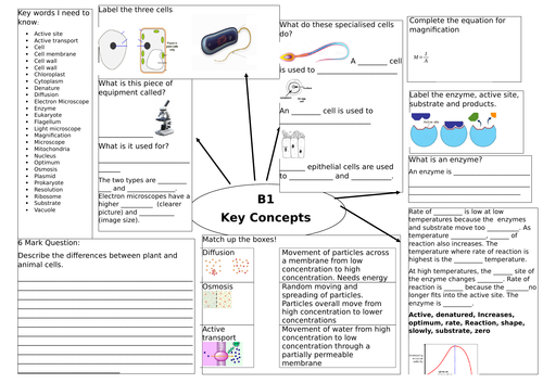 Edexcel (9-1) Biology 1 Revision Maps