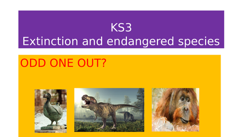 KS3 Extinct and Endangered species for low-level students