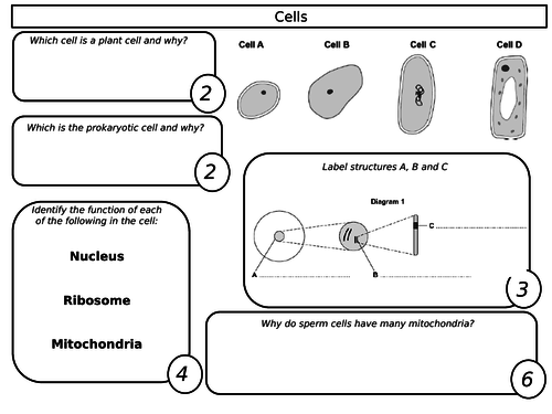 New GCSE - Biology Paper 1 revision sheets