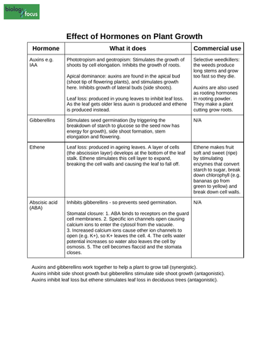 A Level Plant Hormones Actions And Uses Summary Teaching Resources