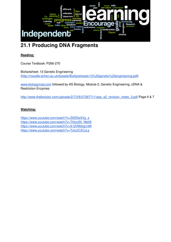 Producing DNA Fragments (Year 2) AQA A-Level