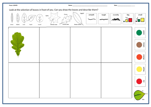 Drawing and Describing LEAVES - 5 resources