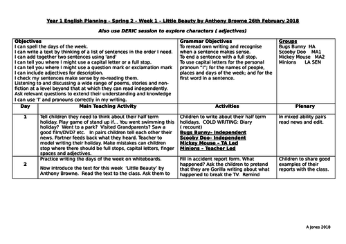 Little Beauty by Anthony Browne literacy planning Year 1