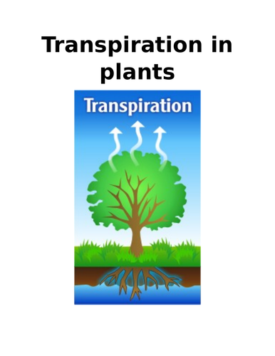 Transpiration