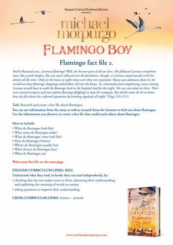 Michael Morpurgo Flamingo Boy Fact File