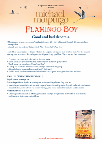 Michael Morpurgo Flamingo Boy Good and Bad Debate