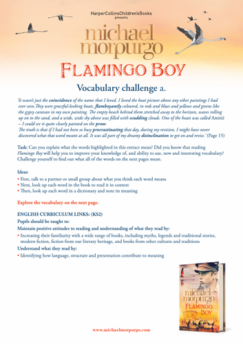 Michael Morpurgo Flamingo Boy Vocabulary Challenge