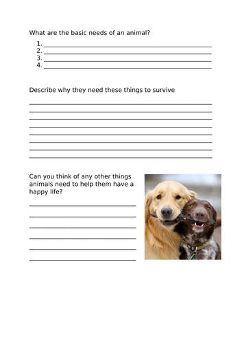 Animals needs KS1 Year 2 SCIENCE