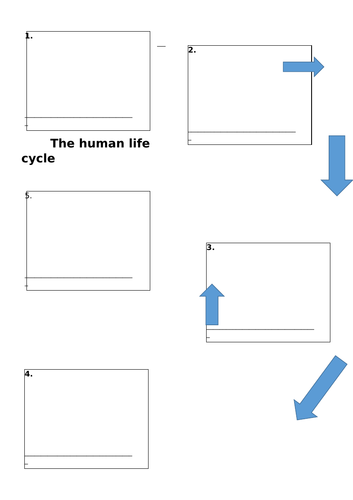 Human Life Cycle KS1 SCIENCE