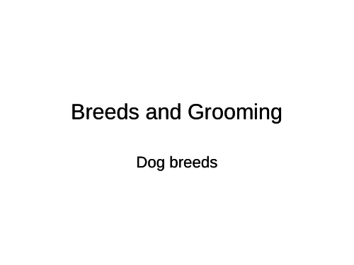 Dog and cat breeds. Animal Care resource